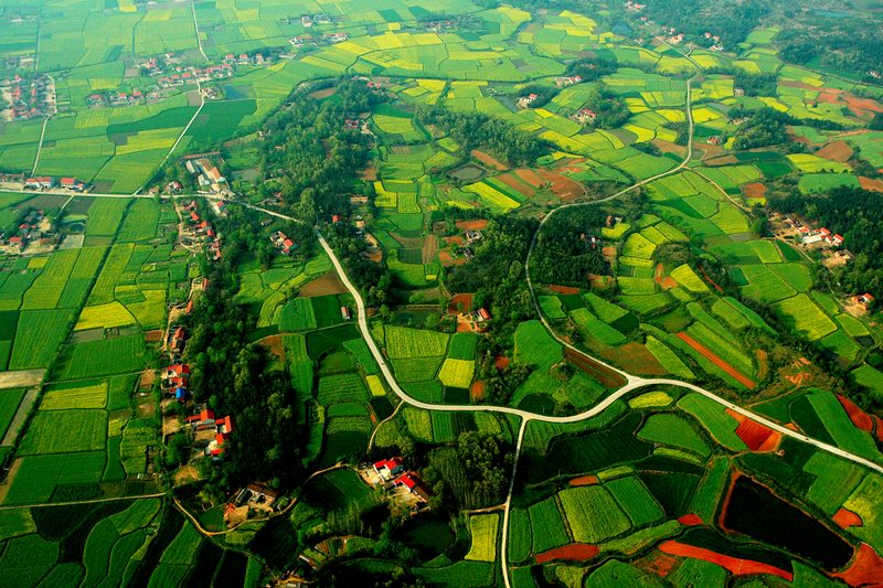 孝昌縣高標準基本農田